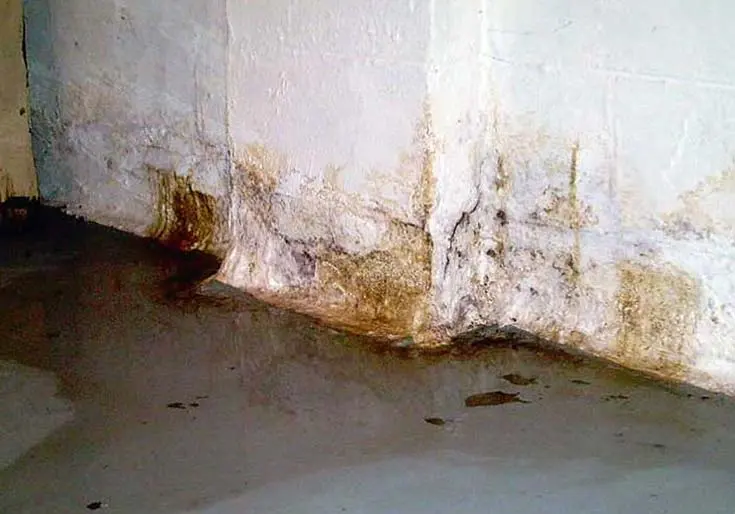 5 Signs of Moisture in Your Basement Walls or Floor: How to Detect and Address the Issue